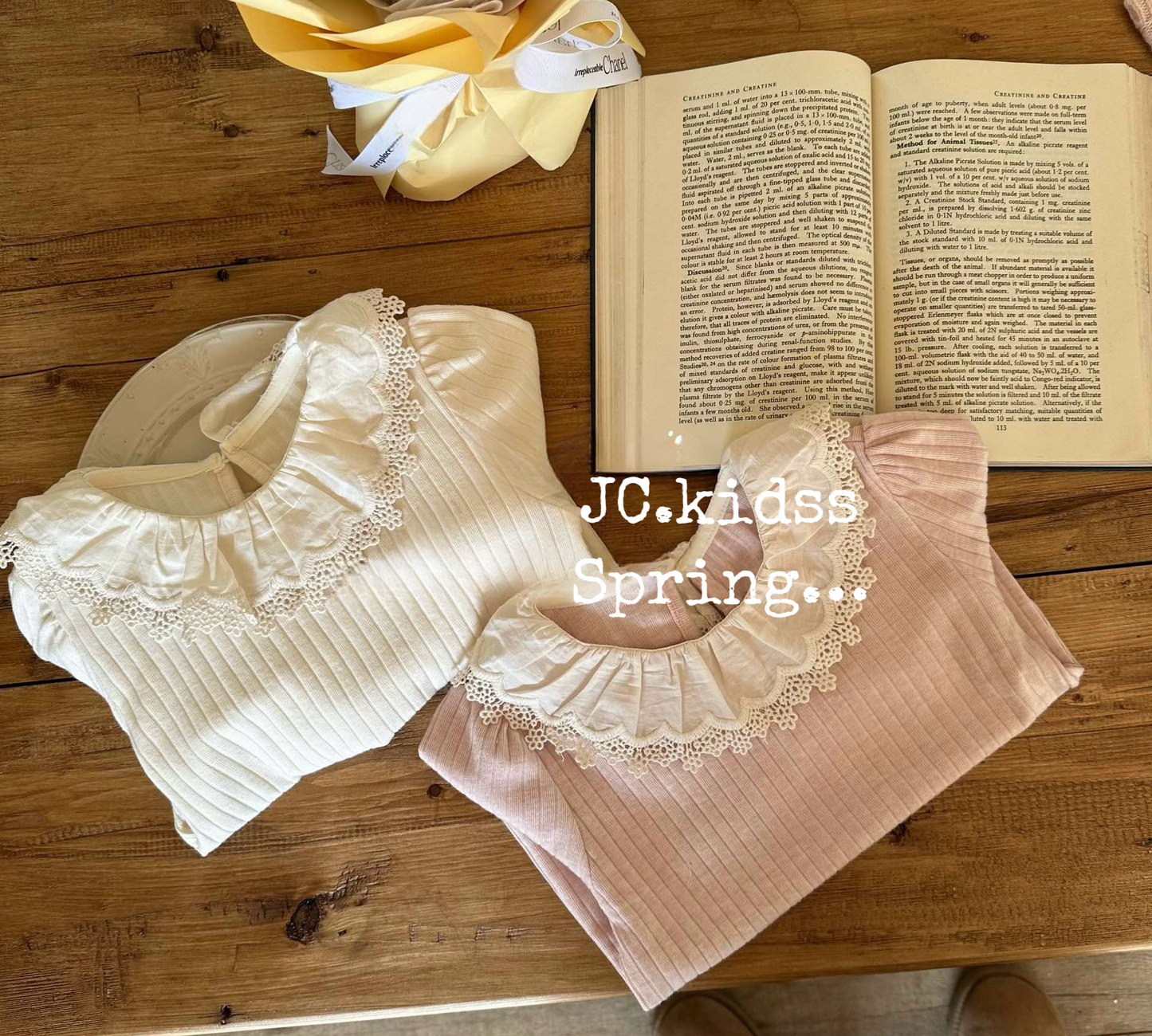 Striped Lace Collar Base Shirt