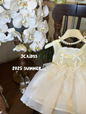 Pale Yellow Royal Style Dress