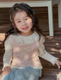 Striped Lace Collar Base Shirt
